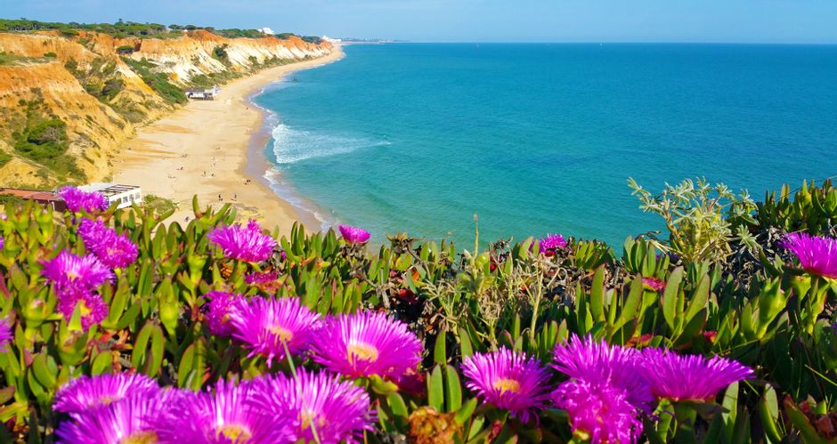 Bunte Blumen und feine Strände beim Wandern an der Algarveküste