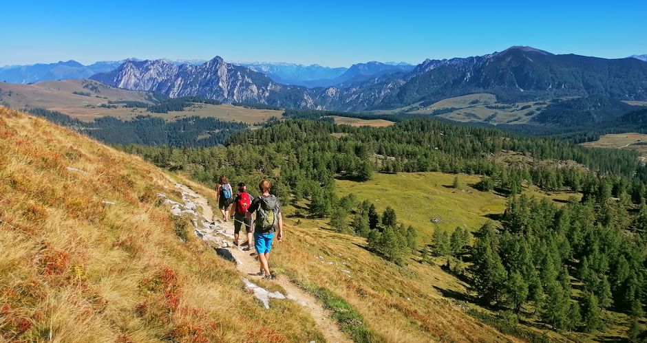 Three hikers walking on a mountain trail at Postalm near Pitschenberg with alpine meadows, forests, and rocky peaks under clear blue sky.