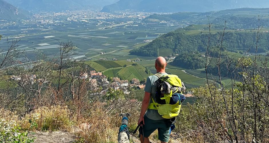 Wanderer mit Hund mit Panoramablick auf Südtiroler Landschaft