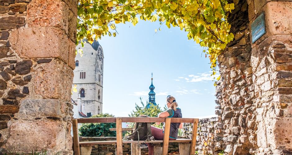  Wanderpause unter Weinreben in Stein im Kremstal