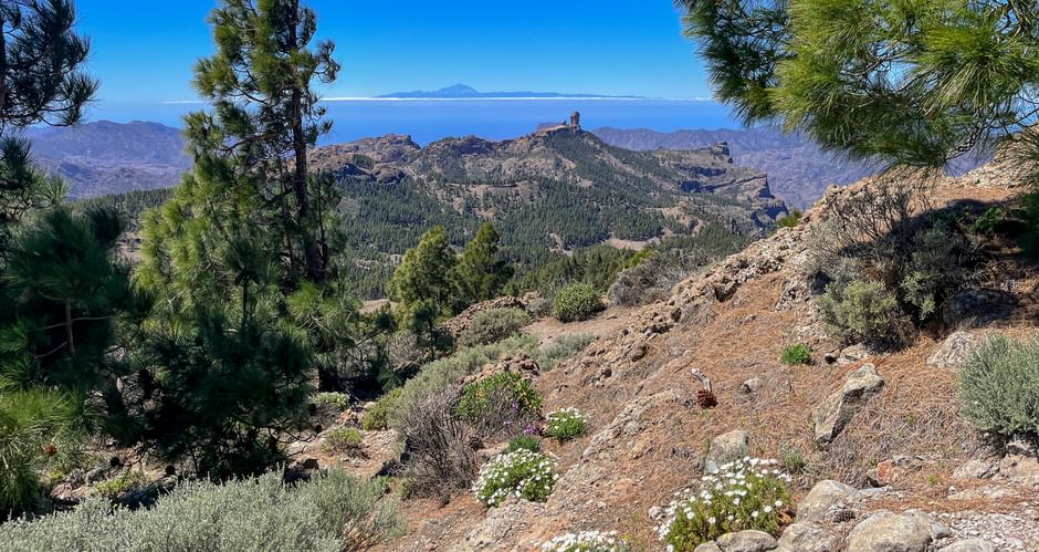 Circular hike on the Pico de las Nieves with a view of the Roque Nublo