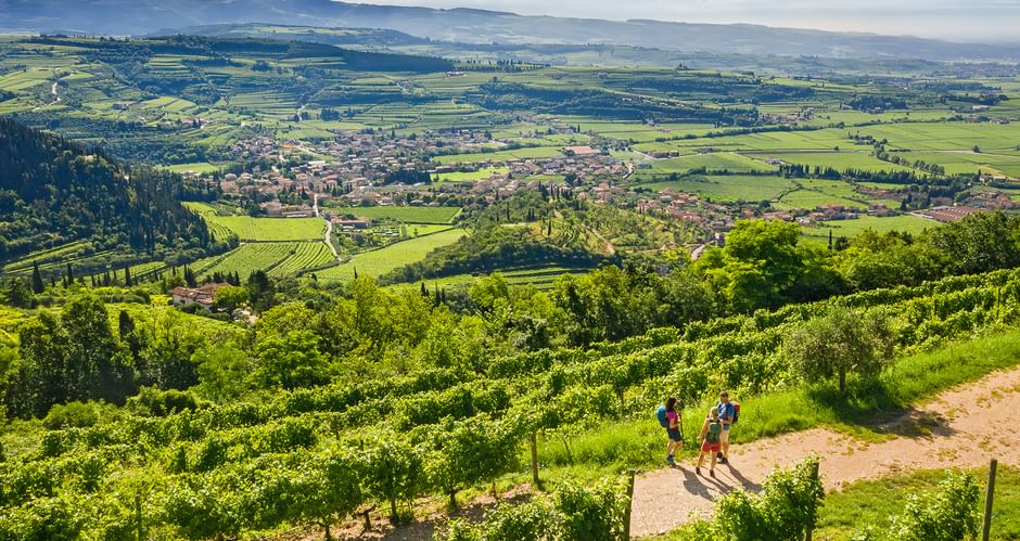 Hikers in Venetia
