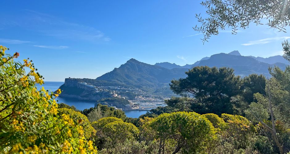 Panoramic view of Port Soller over the bushes