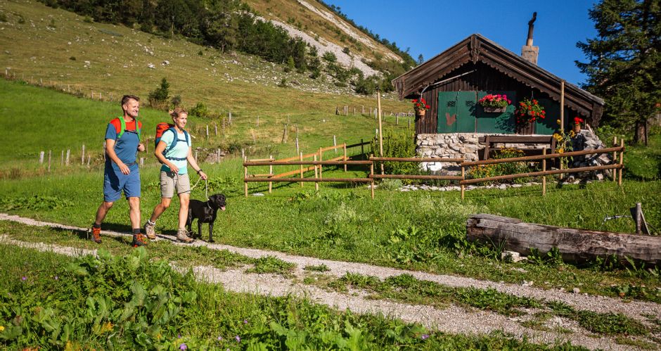 Hiking couple with dog on the Genneralm with alpine hut in the background