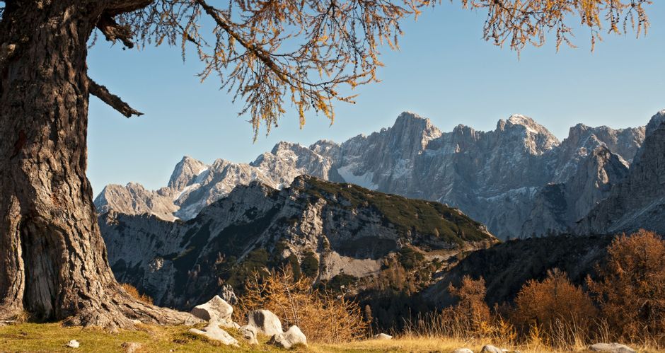 Autumnal panoramic view of the Julian Alps