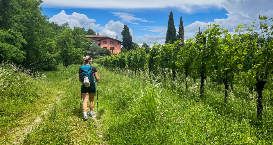 Hiker with backpack walking on grassy trail through vineyard rows on Monte Quarin in Friuli, with pink house and cypress trees visible.