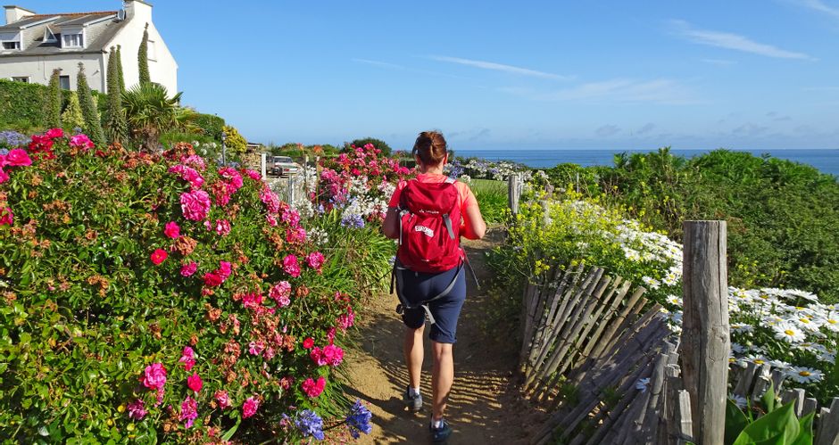 Hiker on the coast with flowers along the way