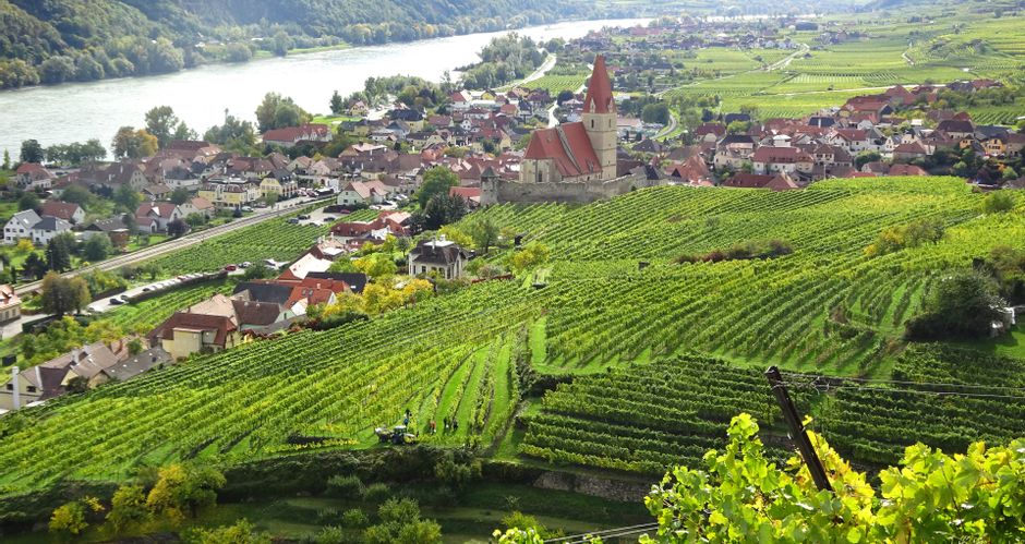 Blick auf in Weinbergen gelegene Weissenkirchen und die Donau