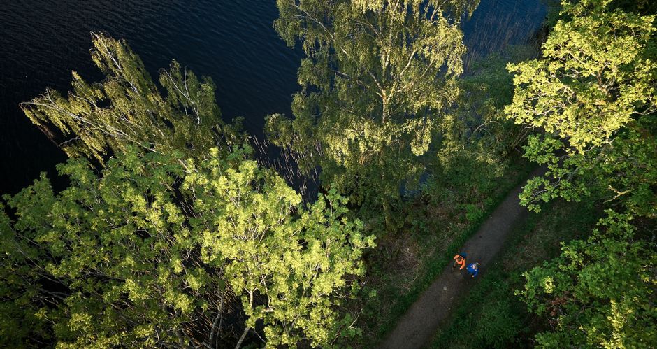 Bird's eye view of two hikers in nature, forest, lake