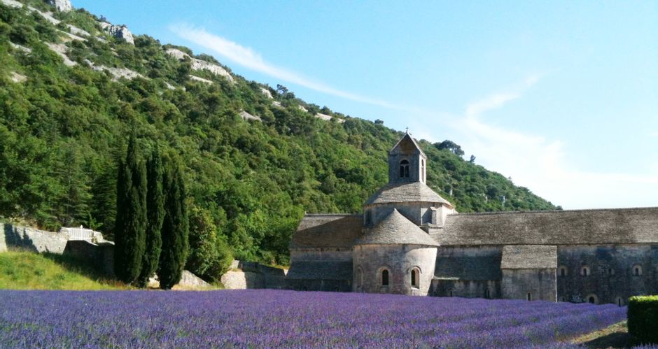 Lavendelfelder vor dem Kloster Sénanque