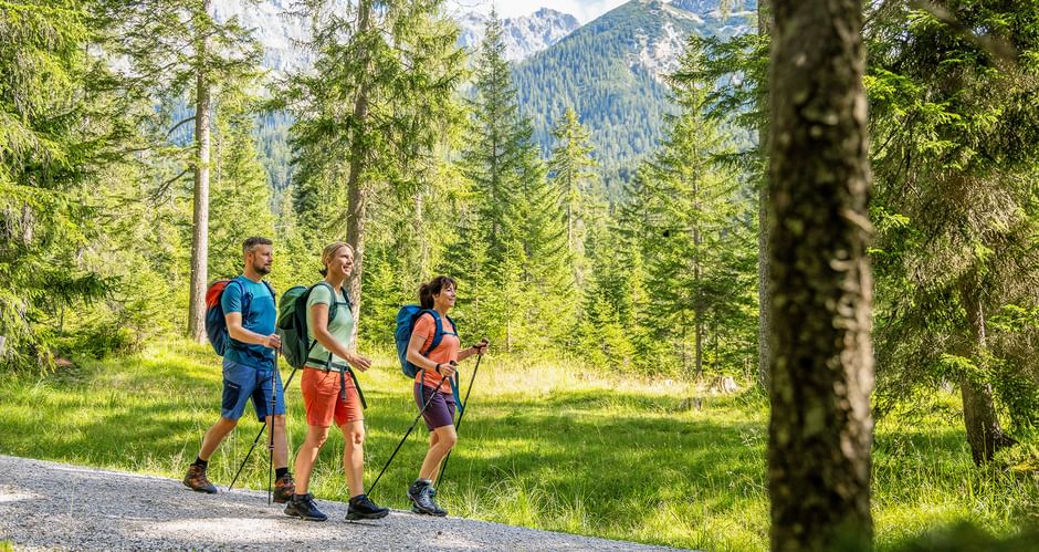 Wanderweg im Wald