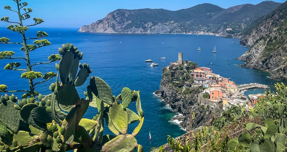 Vernazza village in Cinque Terre on rocky peninsula with colorful houses and tower, framed by agave plants. Blue Mediterranean Sea and mountains visible.