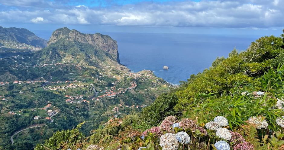 Panoramic view of Madeira's north coast with white and pink hydrangeas in foreground, green mountains, villages, and blue ocean.