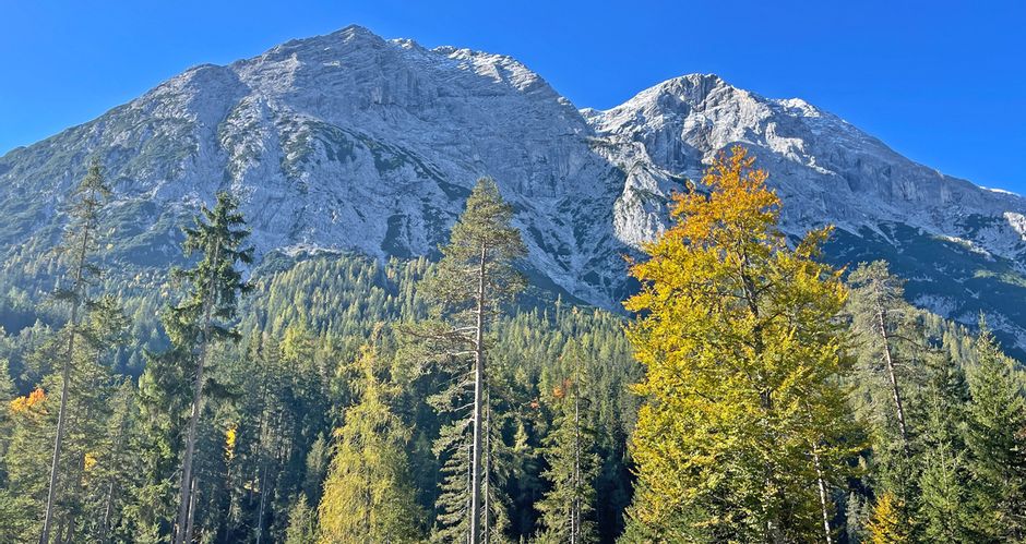 Bergpanorama Zugspitze