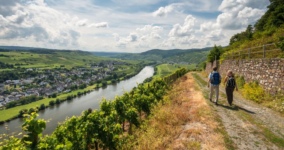 2 Hikers on the Brauneberg above the Moselle